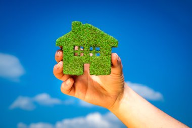 çim saha - Eko kavramı