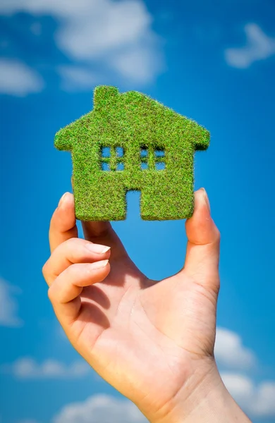 Grass home - Eco Concept — Stock Photo, Image