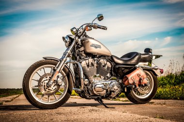 Harley-davidson - sportster 883 düşük