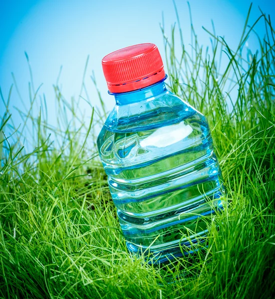 Vizes palackot a fűben — Stock Fotó