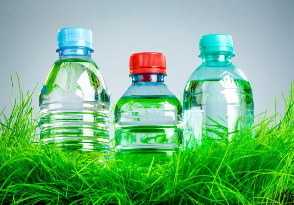 Botella de agua en la hierba —  Fotos de Stock