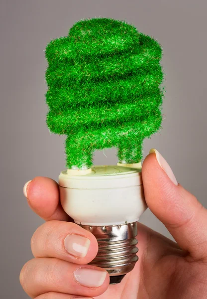 Concept Eco light bulb — Stock Photo, Image