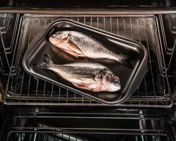 Dorado ikan dalam oven . — Stok Foto
