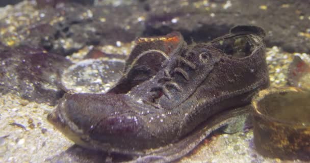 Экологические Проблемы Связанные Загрязнением Воды Загрязнение Воды Является Загрязнением Водных — стоковое видео