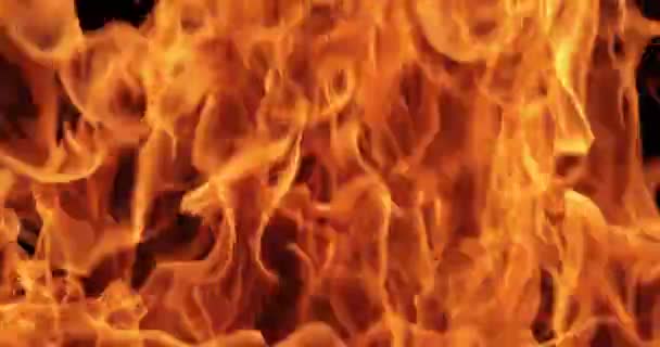 Ağır Çekimde Siyah Arkaplanda Ateş Alevleri — Stok video