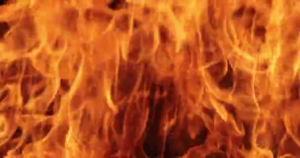 Φλόγες Φωτιάς Μαύρο Φόντο Αργή Κίνηση — Αρχείο Βίντεο
