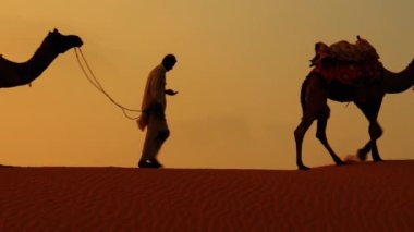 Cameleers, deve sürücüleri gün batımında. Günbatımında çöl Jaisalmer, Rajasthan, Hindistan.