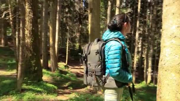 Escursione Donna Passeggiata Con Uno Zaino Trekking Nella Foresta Verde — Video Stock