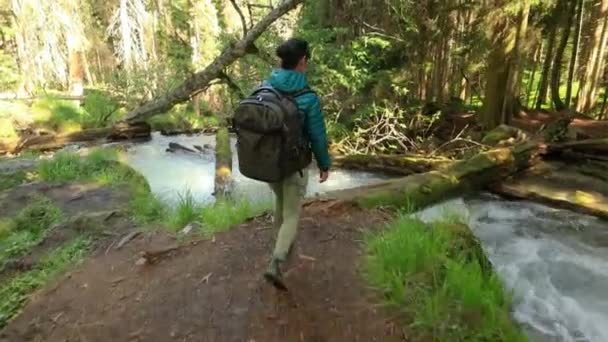 Πεζοπορία Γυναίκα Πόδια Ένα Σακίδιο Πεζοπορία Στην Άνοιξη Πράσινο Δάσος — Αρχείο Βίντεο