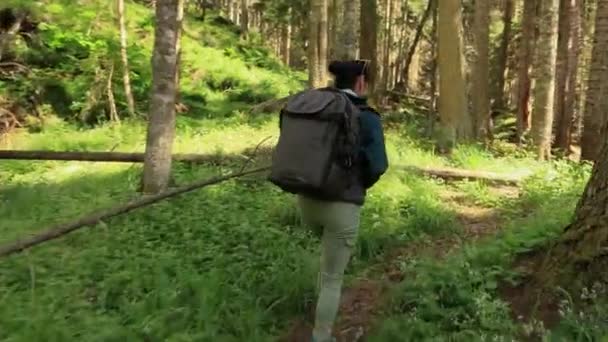 Hiking Woman Walk Hiking Backpack Spring Green Forest — Stock Video