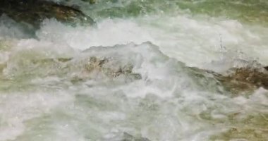 Mountain River ormanın içinde ağır çekimde. Güzel vahşi yaşam manzarası.