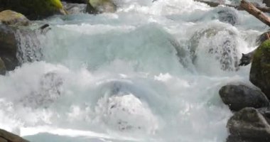 Mountain River ormanın içinde ağır çekimde. Güzel vahşi yaşam manzarası.