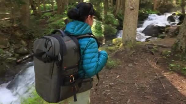 Escursione Donna Passeggiata Con Uno Zaino Trekking Nella Foresta Verde — Video Stock