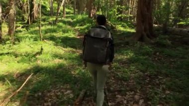 Yürüyüş yapan kadın, bahar yeşili ormanda yürüyüş yapan bir sırt çantasıyla yürüyor.