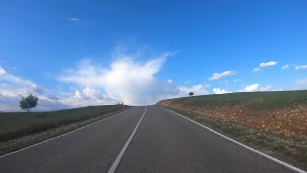Οδηγώντας Ένα Αυτοκίνητο Ένα Δρόμο Αγελάδες Έκλεισαν Δρόμο Για Την — Αρχείο Βίντεο