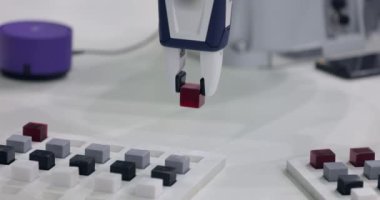 Robot ya da işbirlikçi robot, insanların ve robotların yakın mesafede olduğu ya da ortak bir alanda doğrudan insan-robot etkileşimi için tasarlanmış bir robottur..