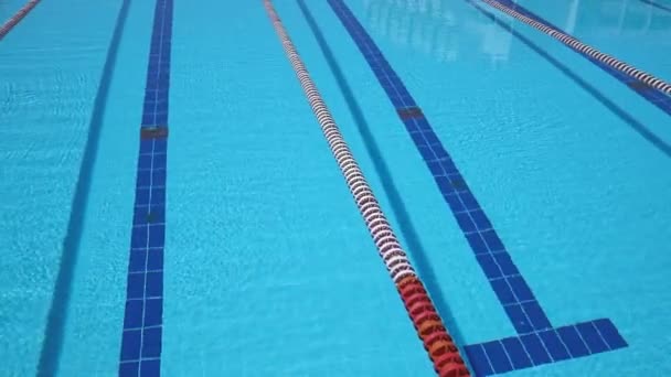 Güneşli Bir Günde Olimpik Yüzme Havuzu Geçmişi — Stok video