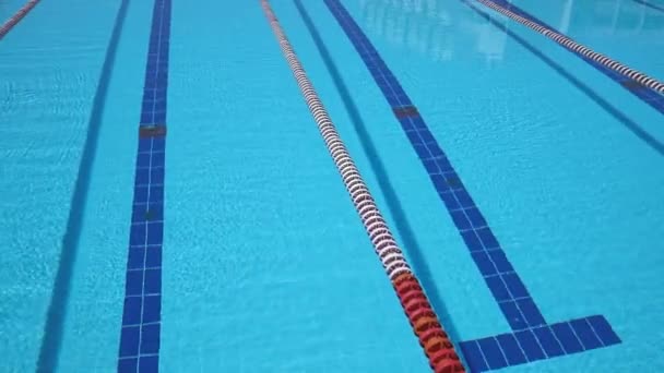 Fondo Piscina Olímpica Día Soleado Brillante — Vídeo de stock