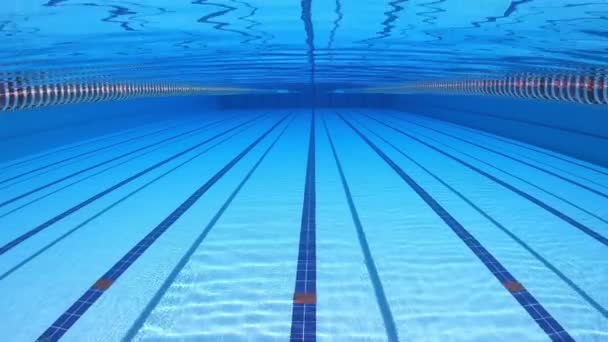 Olympic Swimming Pool Vatten Bakgrund — Stockvideo