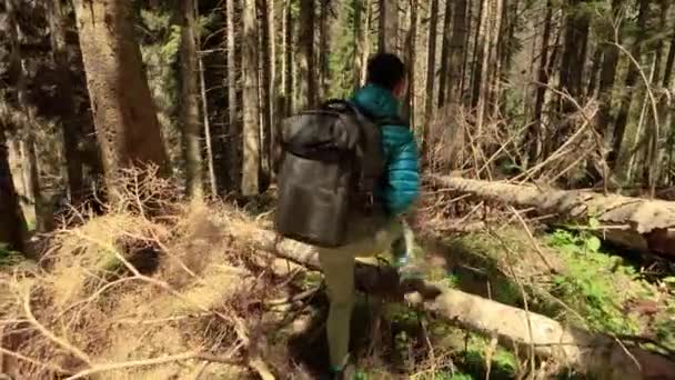 Пішохідна Жінка Гуляє Пішохідним Рюкзаком Весняному Зеленому Лісі — стокове відео