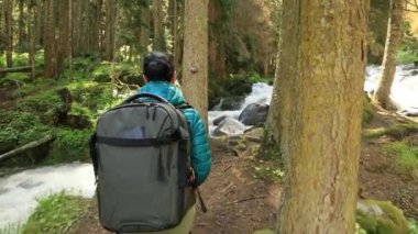 Yürüyüş yapan kadın, bahar yeşili ormanda yürüyüş yapan bir sırt çantasıyla yürüyor.