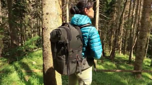 Hiking Woman Walk Hiking Backpack Spring Green Forest — Stock Video