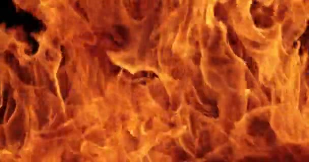 Пламя Огня Черном Фоне Замедленной Съемке — стоковое видео