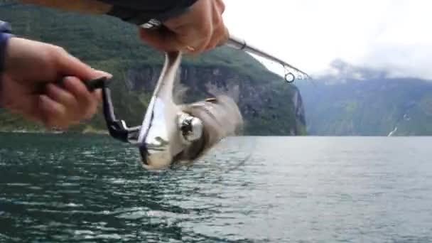 在挪威 在钓竿上钓鱼的妇女旋转着 在挪威捕鱼是拥抱当地生活方式的一种方式 无数的湖泊 河流和宽阔的海岸线意味着极好的机会 — 图库视频影像