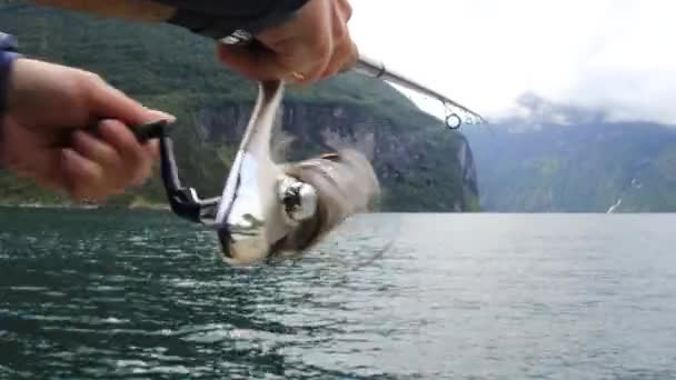 Mujer Pescando Caña Pescar Girando Noruega Pesca Noruega Una Manera — Vídeo de stock