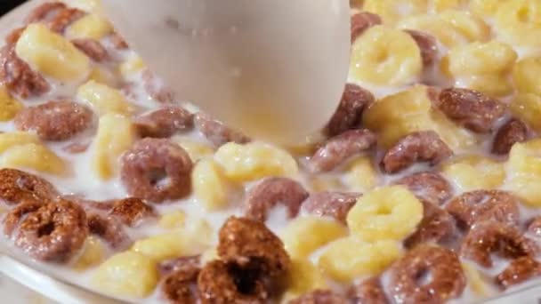 朝食牛乳とボウルにチョコレートコーンシリアル — ストック動画
