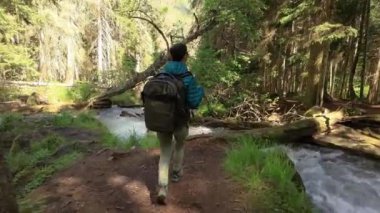 Yürüyüş yapan kadın, bahar yeşili ormanda yürüyüş yapan bir sırt çantasıyla yürüyor.