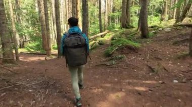 Yürüyüş yapan kadın, bahar yeşili ormanda yürüyüş yapan bir sırt çantasıyla yürüyor.