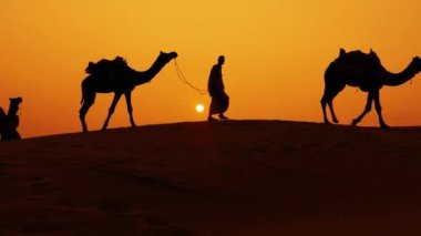 Cameleers, deve sürücüleri gün batımında. Günbatımında çöl Jaisalmer, Rajasthan, Hindistan.