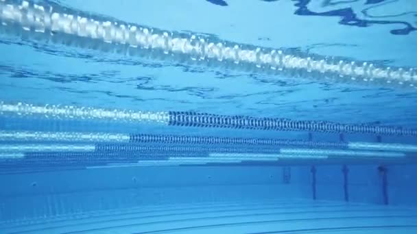 Piscina Olímpica Fundo Subaquático — Vídeo de Stock