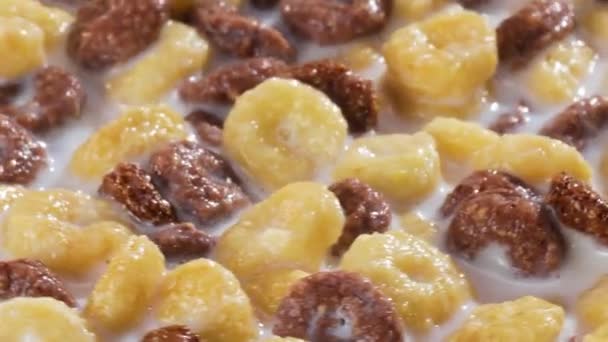 Desayuno Cereales Maíz Chocolate Tazón Con Leche — Vídeos de Stock