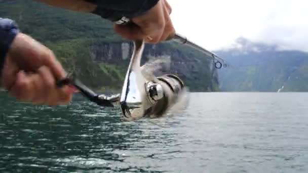 Žena Rybaří Rybářském Prutu Točícím Norsku Rybaření Norsku Způsob Jak — Stock video
