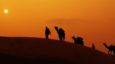 Cameleers, deve sürücüleri gün batımında. Günbatımında çöl Jaisalmer, Rajasthan, Hindistan.