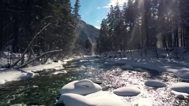 Kışın Güzel Bir Kar Manzarası Ormanı Nehrin Üzerinde Uçuyor Karla — Stok video