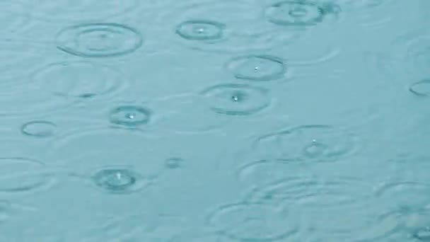 Абстрактный Фон Капли Дождя Воду — стоковое видео