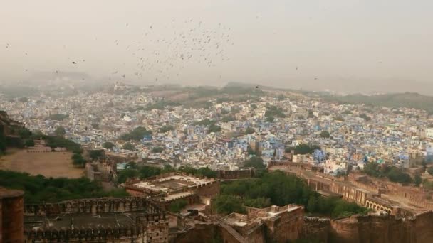 Jodhpur Také Modré Město Druhé Největší Město Indickém Státě Rajasthan — Stock video