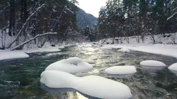 Hermoso Bosque Nieve Invierno Volando Sobre Río Los Pinos Cubiertos — Vídeos de Stock