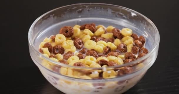 Micul Dejun Ciocolată Cereale Porumb Într Castron Lapte — Videoclip de stoc