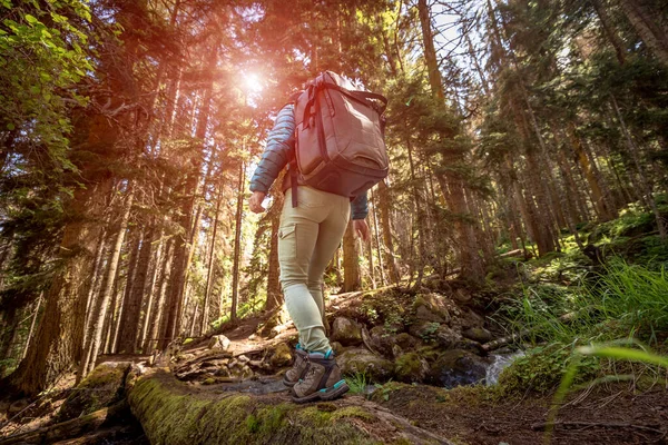 Wędrówka Kobieta Chodzić Plecakiem Wędrówki Wiosennym Zielonym Lesie — Zdjęcie stockowe
