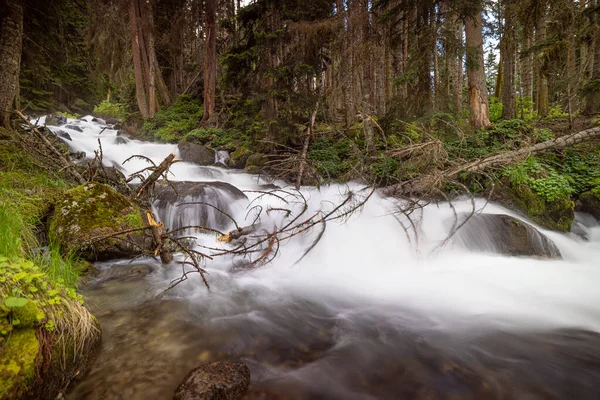 Gebirgsfluss Wald Schöne Naturlandschaft Stockbild