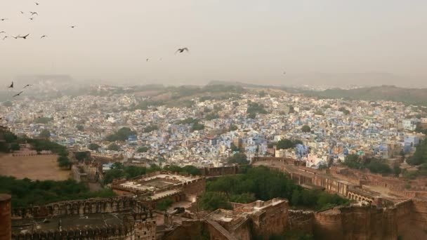 Jodhpur 라자스탄 주에서 번째로 도시이며 공식적으로는 번째로 도시이다 요새에서 바라본 — 비디오