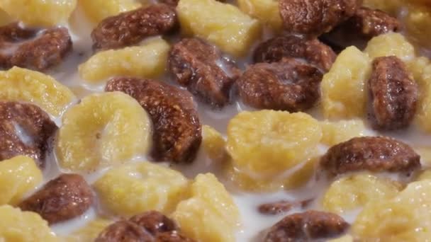 Frühstück Schokolade Mais Müsli Einer Schüssel Mit Milch — Stockvideo