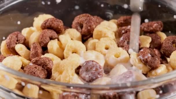 早餐巧克力玉米麦片在一个装有牛奶的碗里 — 图库视频影像