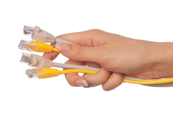 LAN cords — Stock Photo, Image