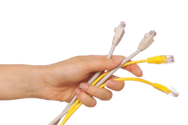 LAN cords Stock Photo
