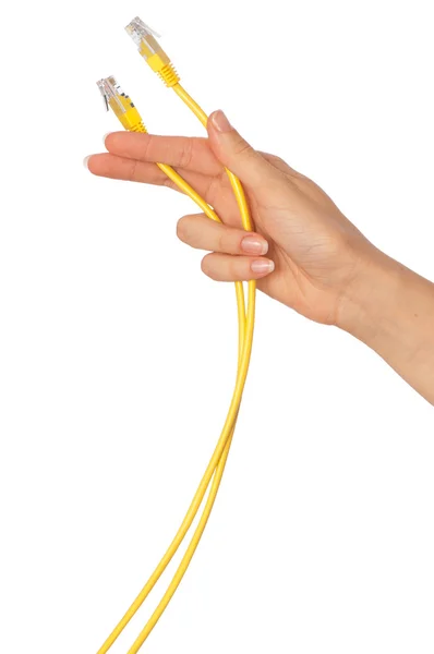 LAN cords — Stock Photo, Image